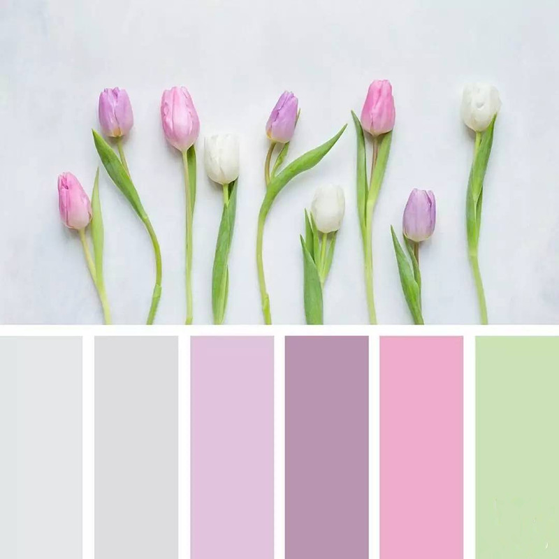 化妝品包裝盒色彩搭配-廣州駿業包裝實業有限公司 化妝品包裝盒色彩搭配