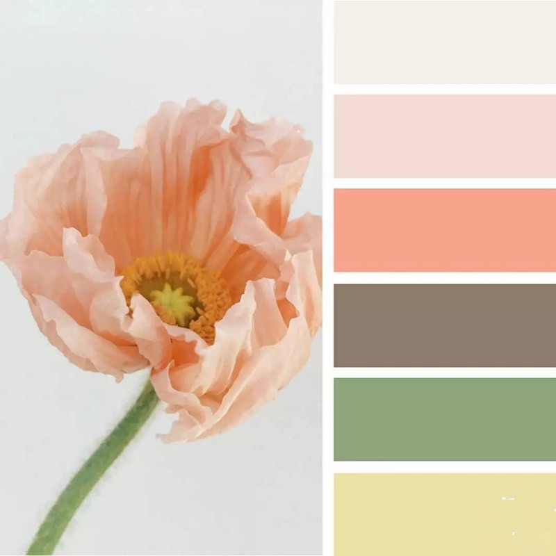 化妝品盒色彩搭配-廣州駿業包裝實業有限公司 化妝品盒色彩搭配